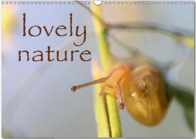 lovely_nature